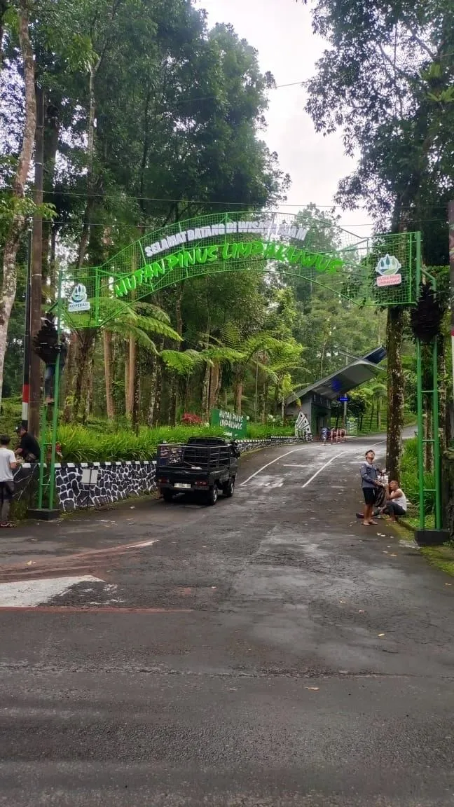 Letter Sign Hutan Pinus Limpakuwus foto 4