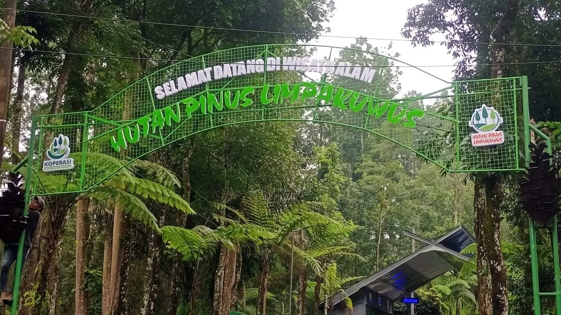 Letter Sign Hutan Pinus Limpakuwus foto 5